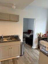 1527 W 18th St, Unit 4 in Chicago, IL - Building Photo - Building Photo