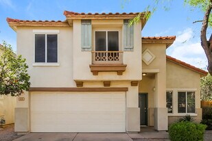 668 E Colt Ct in Chandler, AZ - Building Photo