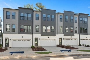 10536 Pleasant Br Dr in Raleigh, NC - Building Photo