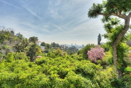 2000 N Sycamore Ave in Los Angeles, CA - Building Photo