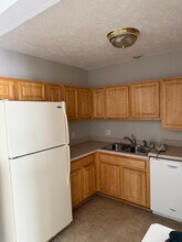 806 Carom Cir, Unit Villages At Franklin Farm in Mason, MI - Building Photo - Building Photo