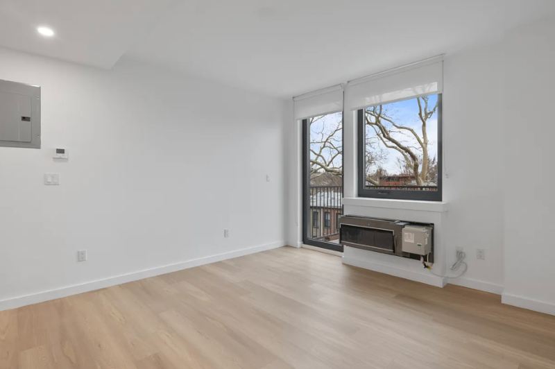 650 Madison St in Brooklyn, NY - Building Photo