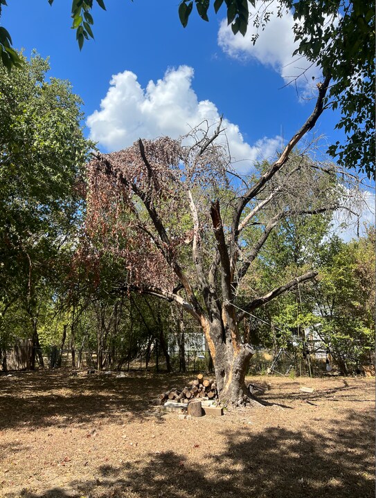 3210 Northeast Dr, Unit A in Austin, TX - Building Photo