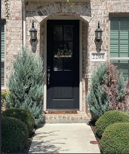 2208 Zenith Ave in Flower Mound, TX - Building Photo