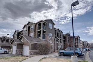 2955 Blue Sky Cir in Erie, CO - Building Photo