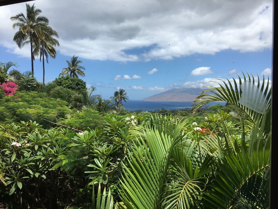 753 Launa Dr in Kihei, HI - Building Photo