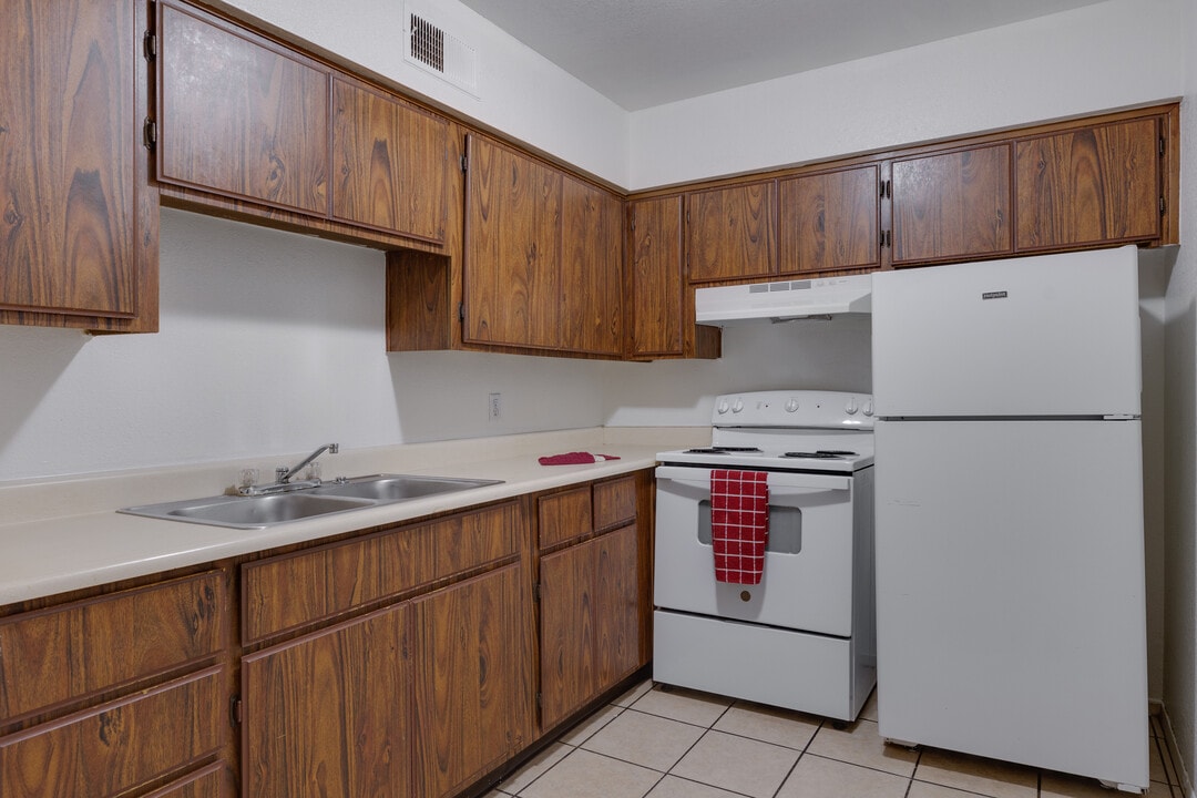 Pine Terrace in Phoenix, AZ - Building Photo