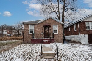 7316 Park Dr in St. Louis, MO - Building Photo