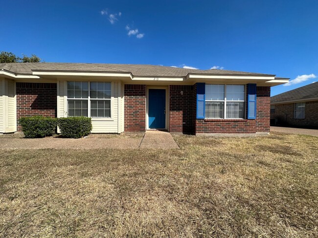 213 Cathy Dr in Robinson, TX - Foto de edificio - Building Photo