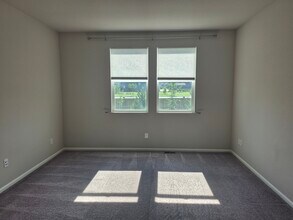 5307 Alberta Falls St in Timnath, CO - Building Photo - Building Photo