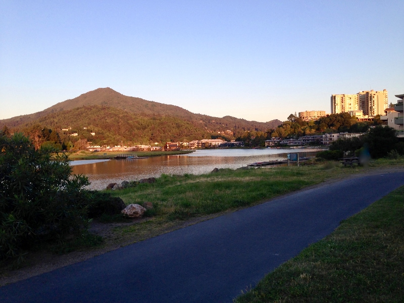 213 Lower Via Casitas in Kentfield, CA - Building Photo