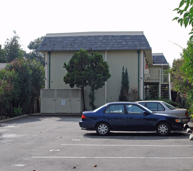 37 Pacheco St in San Rafael, CA - Foto de edificio - Building Photo