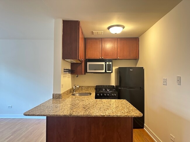 650 W Wrightwood Ave, Unit 305 in Chicago, IL - Building Photo - Building Photo