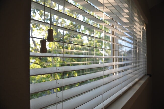 property at 5743 Petty St