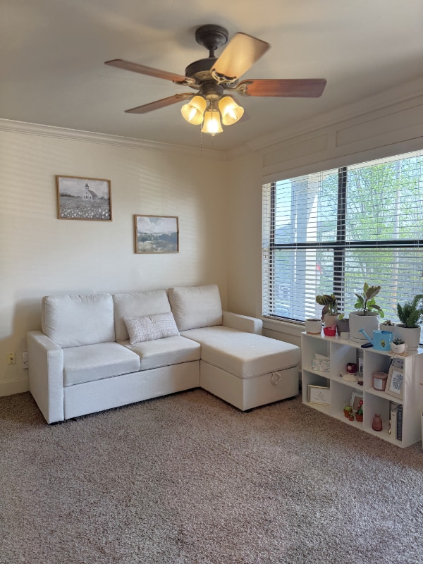 711 W Douglas St in Fayetteville, AR - Foto de edificio - Building Photo