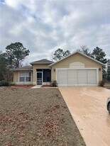 4731 SW 151st Pl in Ocala, FL - Building Photo