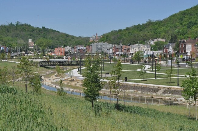 The Woods of Wyoming