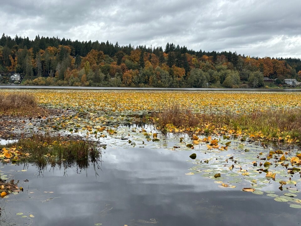 8582 Long Lake Rd SE in Port Orchard, WA - Building Photo