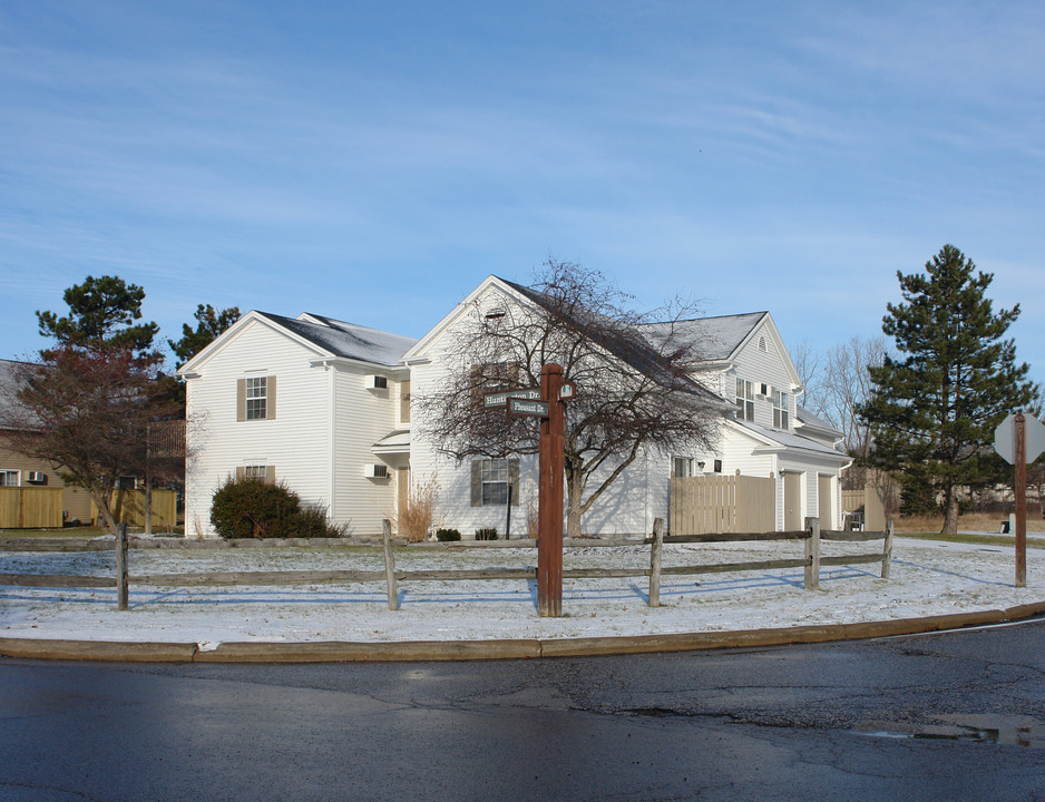 7464 Huntington Dr in Youngstown, OH - Building Photo