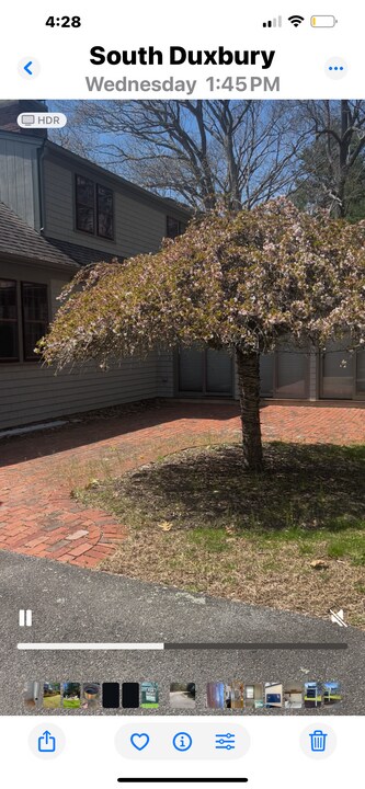 95 Crescent St in Duxbury, MA - Foto de edificio