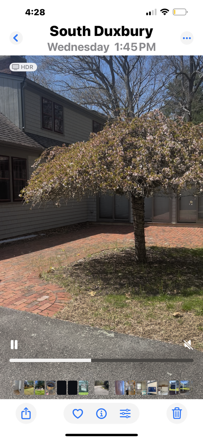 property at 95 Crescent St