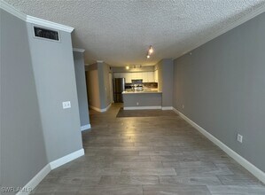 8735 River Homes Lane in Bonita Springs, FL - Building Photo - Building Photo