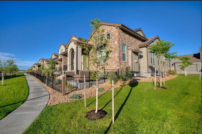 6236 Vernazza Way in Windsor, CO - Building Photo - Building Photo