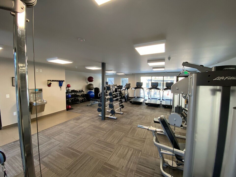 3342 N 27th Ave in Bozeman, MT - Building Photo