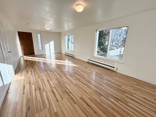 property at 1005 S Shoshone St