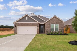 21535 Bluebonnet Bay Dr in Magnolia, TX - Building Photo