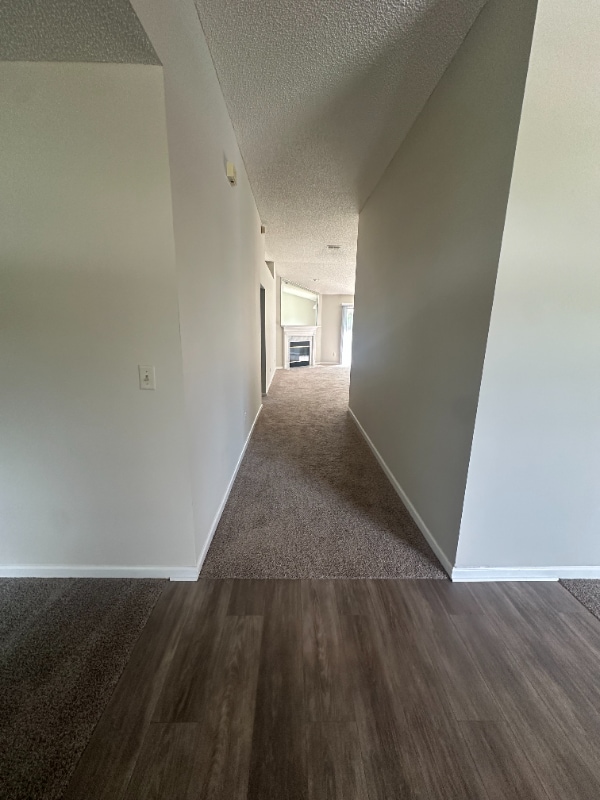 345 Wildberry Ct in Orange Park, FL - Foto de edificio - Building Photo