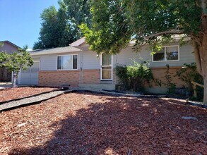 108 Birch Ave in Castle Rock, CO - Building Photo - Building Photo