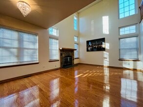 160 Holmes Way in Schaumburg, IL - Building Photo - Building Photo