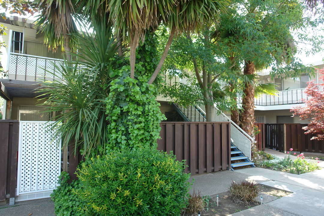 Bahama Lanai Apartments in San Jose, CA - Building Photo