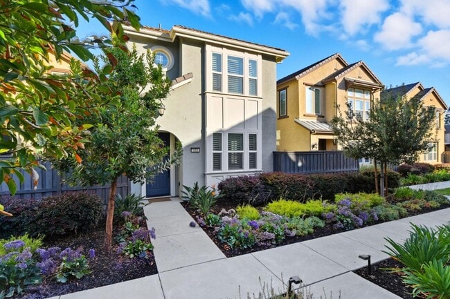 819 Maddox Loop in San Jose, CA - Building Photo - Building Photo
