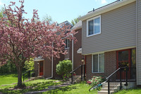 Foxfire Apartments in Jackson, MI - Foto de edificio - Building Photo