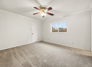 6555 Beech Trail Dr in Converse, TX - Foto de edificio - Building Photo