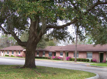 Forest Glen Apartments in Palatka, FL - Building Photo