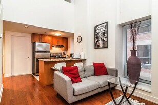 1061 Rue St-Alexandre in Montréal, QC - Building Photo