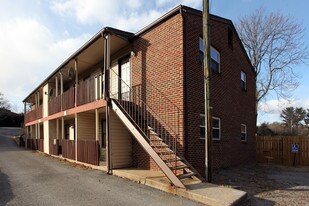 Wayne Street Apartments in Roanoke, VA - Building Photo
