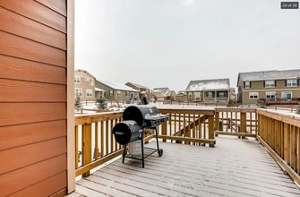 12932 Norway Maple St in Parker, CO - Foto de edificio - Building Photo