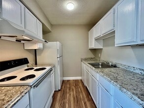 701 W Sycamore St, Unit 205 in Denton, TX - Building Photo - Building Photo