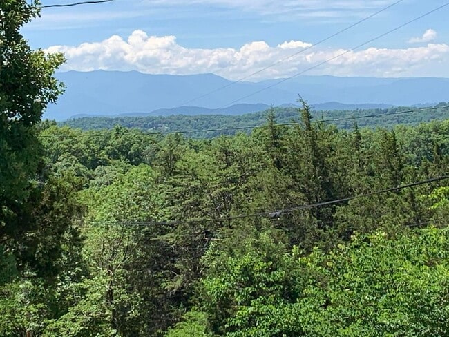 1006 Pleasure Rd in Sevierville, TN - Building Photo - Building Photo