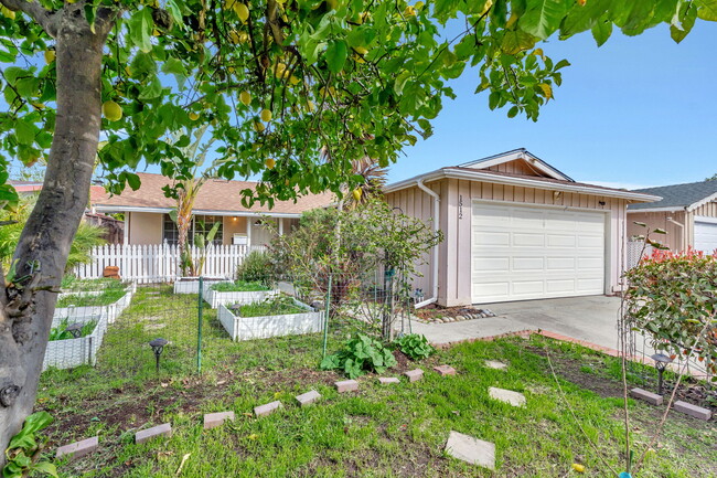 1512 Mount Diablo Dr in San Jose, CA - Building Photo - Building Photo