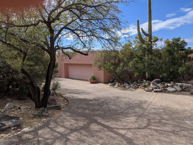 5556 E Círculo Terra in Tucson, AZ - Building Photo - Building Photo
