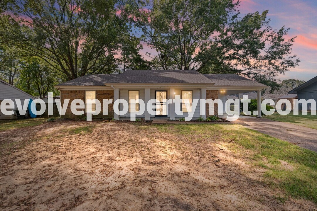 379 Easonwood Ave in Collierville, TN - Building Photo