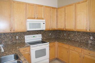 14017 Fairwinds Ct in Orlando, FL - Building Photo - Building Photo