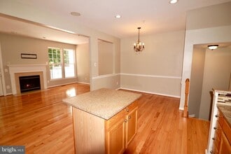 25323 Damascus Park Terrace in Damascus, MD - Building Photo - Building Photo