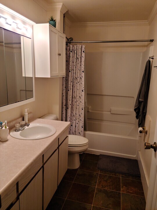 1741 College Ave, Unit First Floor Apartment in Stevens Point, WI - Building Photo