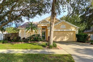 26903 Carla Pl in Lutz, FL - Building Photo